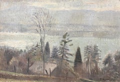 Vista del lago in inverno
