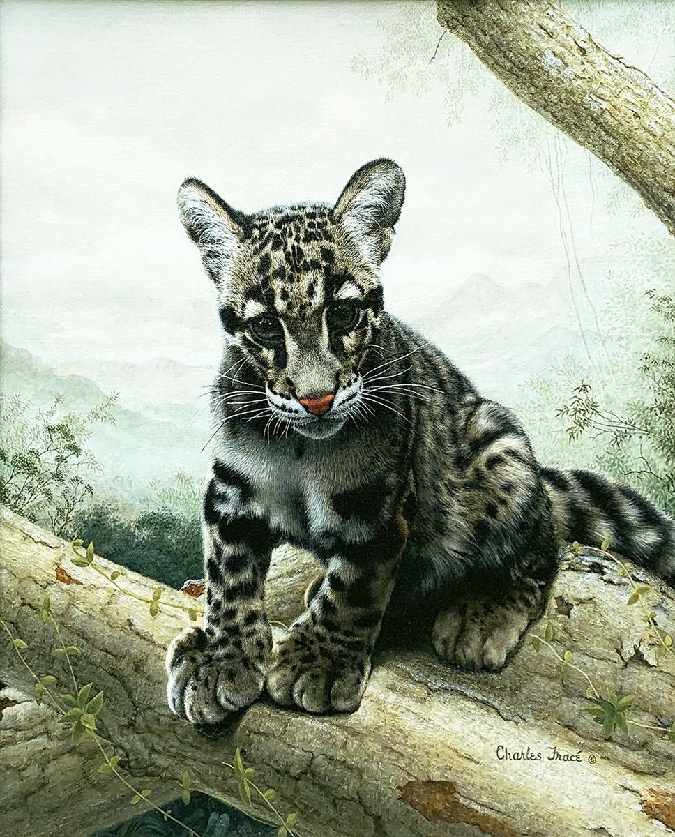 Leopard Cub - Painting by Charles Fracé