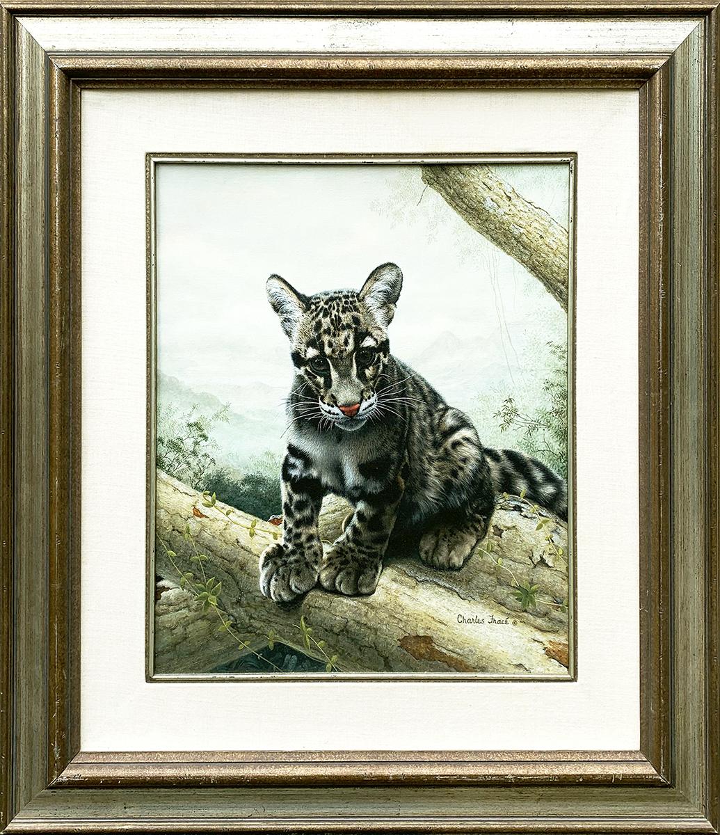 Charles Fracé Animal Painting - Leopard Cub