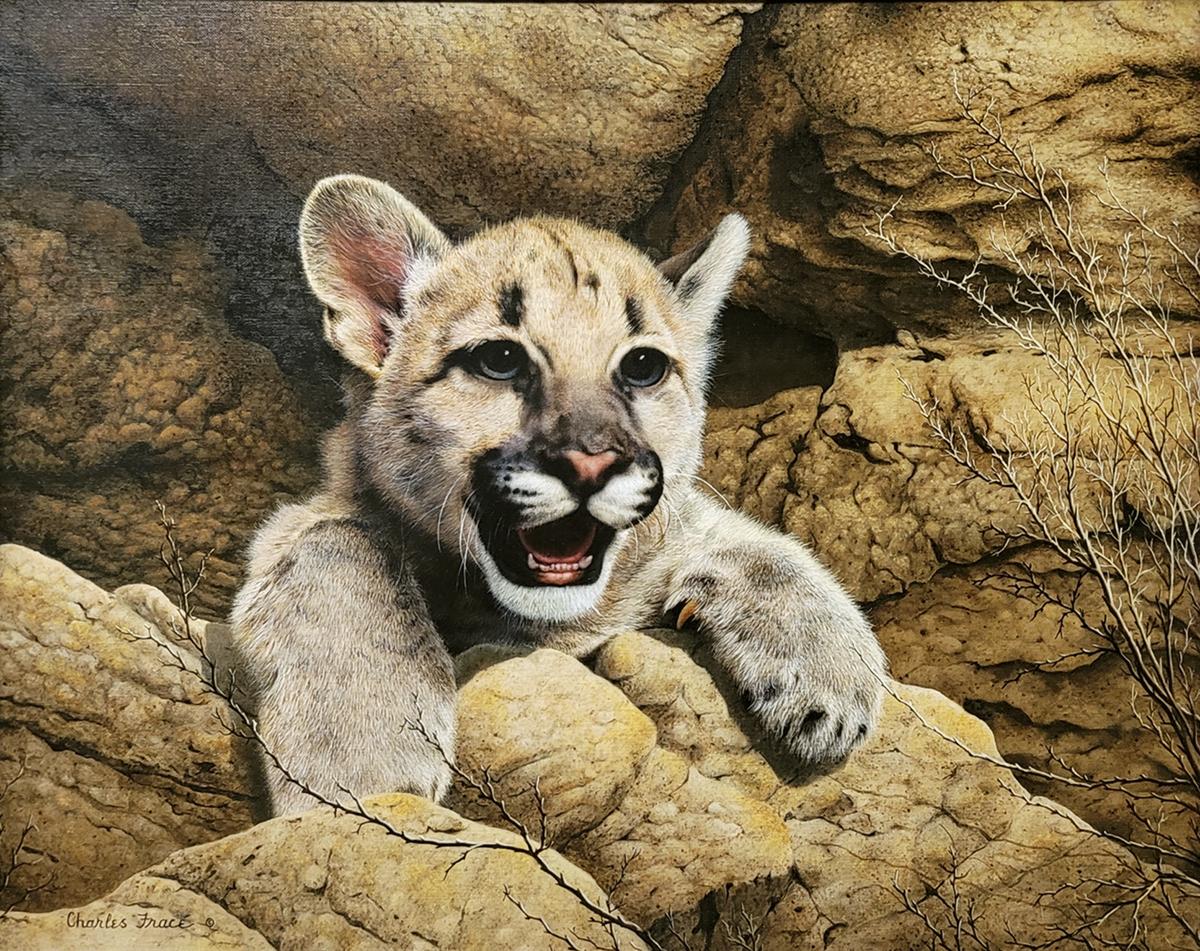 El joven cazador - Painting de Charles Fracé