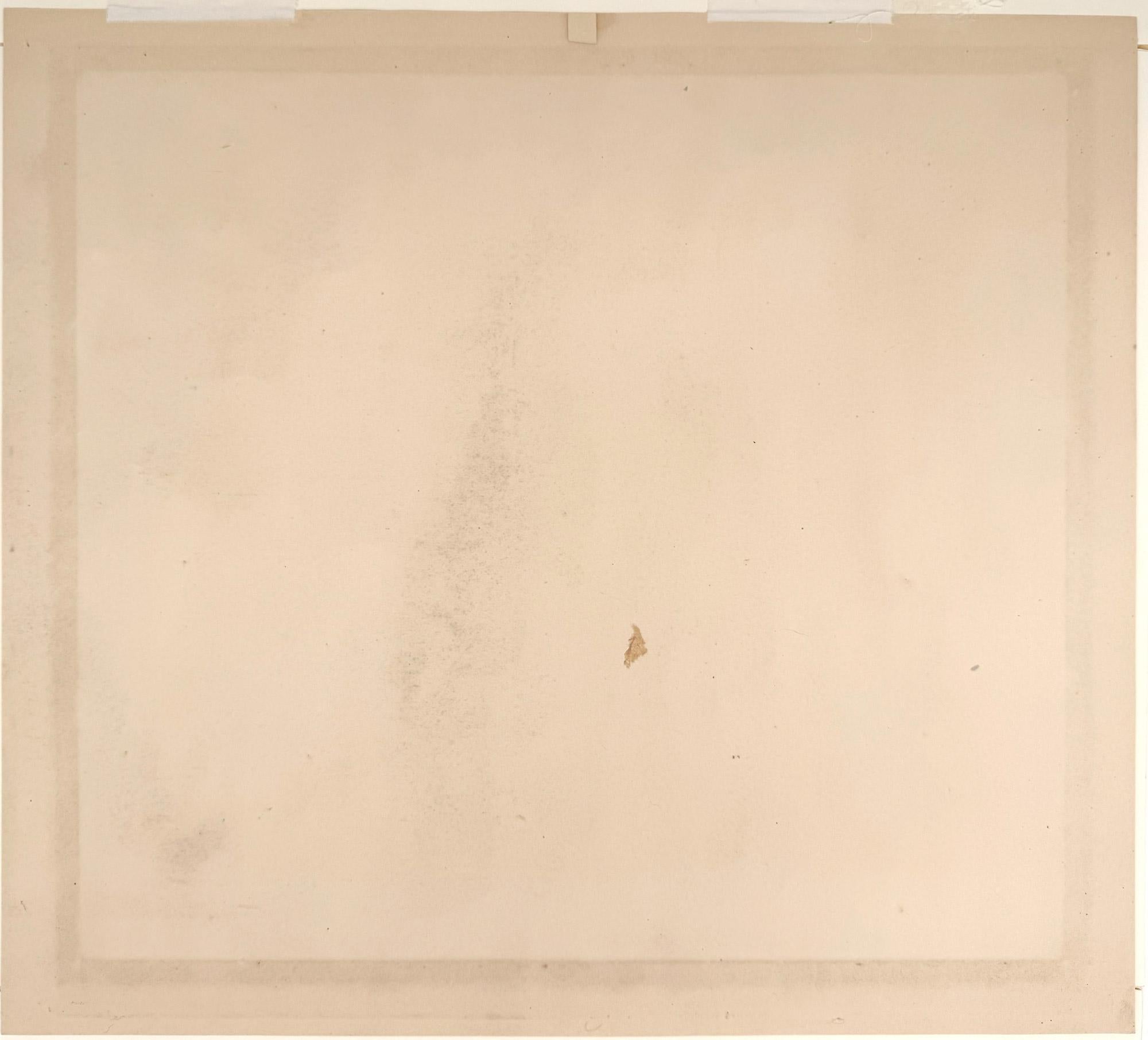 Le Buisson (The Bush); Chalcographie du Louvre, vol. IV, plate 109 - French School Print by Charles François Daubigny