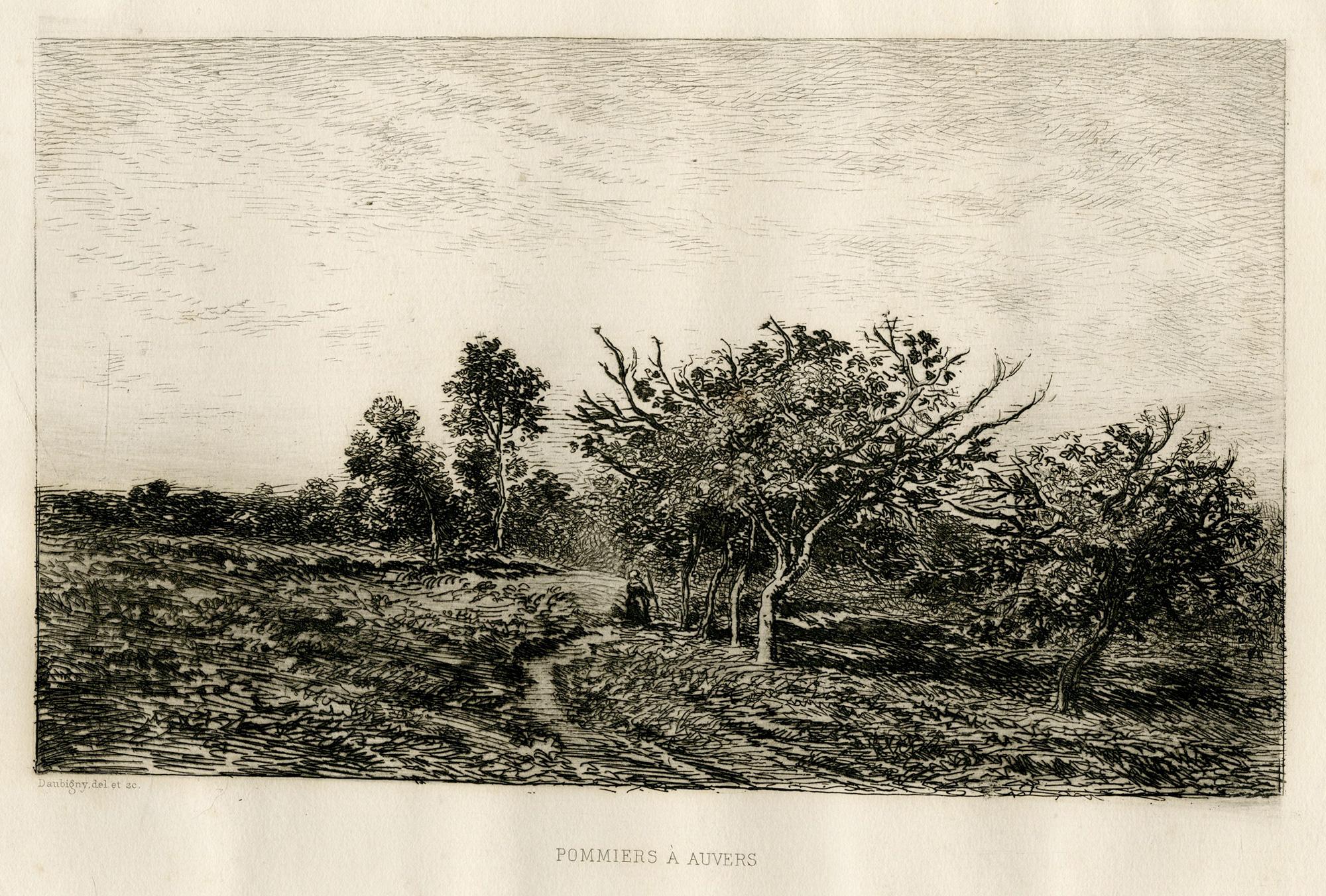 Pommiers à Auvers