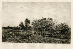 Pommiers à Auvers