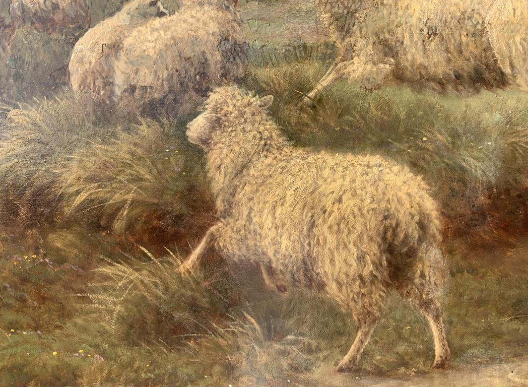 Charles Branscombe (British) - Early 20th century painting - Dog Sheeps - Signed 6