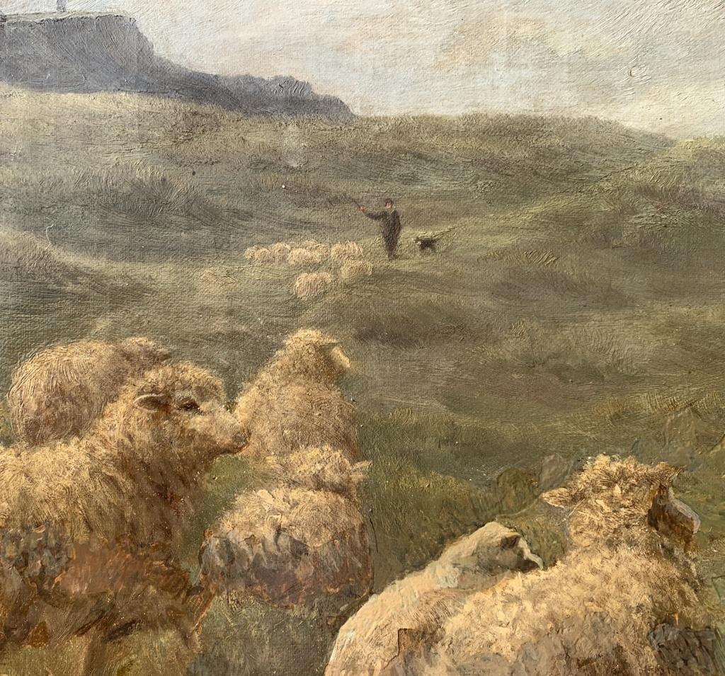 Charles Branscombe (British) - Early 20th century painting - Dog Sheeps - Signed 2