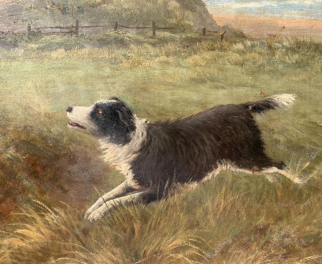 Charles Branscombe (British) - Early 20th century painting - Dog Sheeps - Signed 4