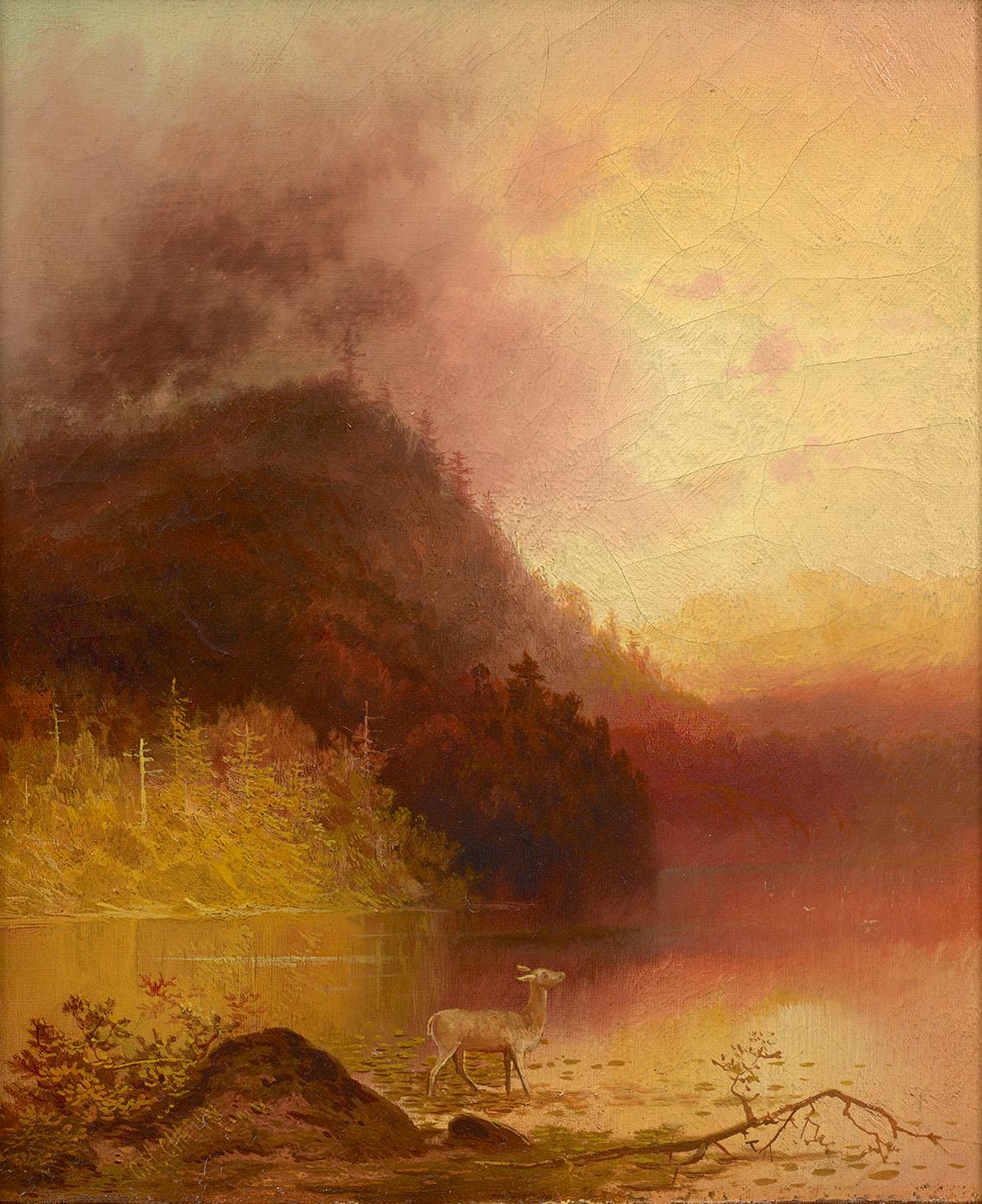 Landscape Painting di Charles H. Chapin - Cervo nella natura selvaggia