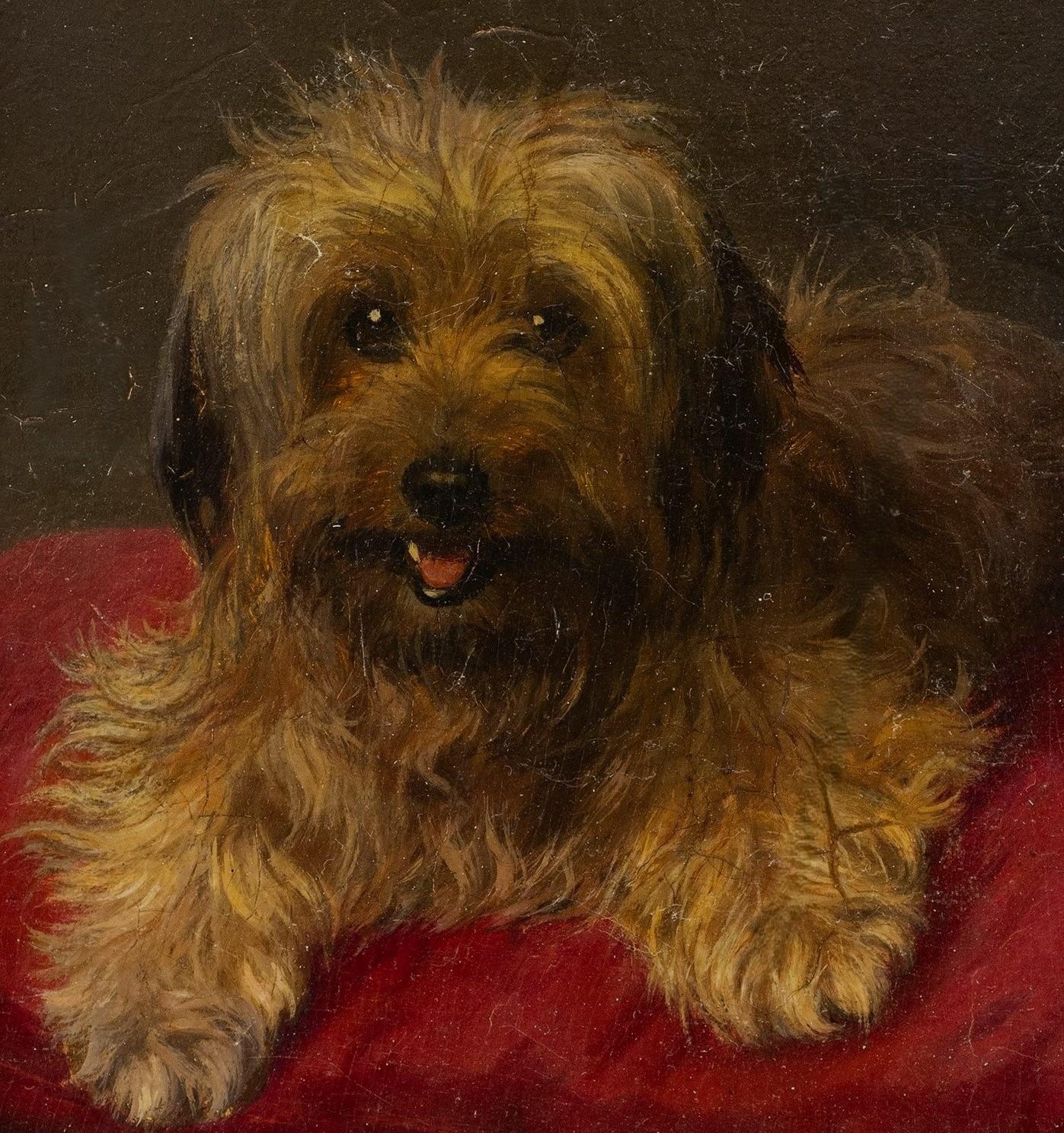 Portrait of a Dog Resting on a Red Cushion Charles Van den Eycken ((1859 - 1923) - Painting by Charles H. Van den Eycken