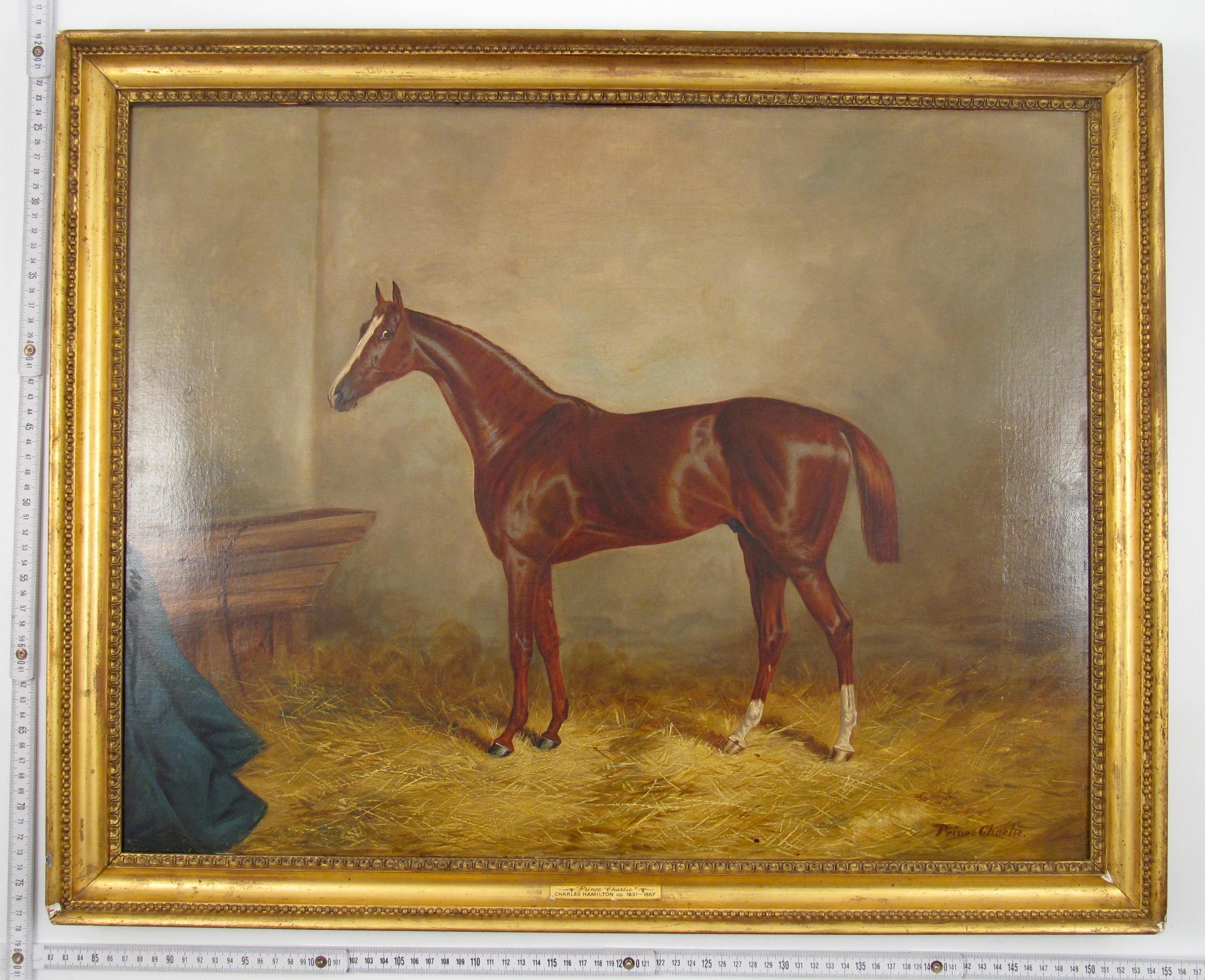 Portrait of Prince Charlie - Victorian Racing Horse Oil Painting by Ch. Hamilton 4