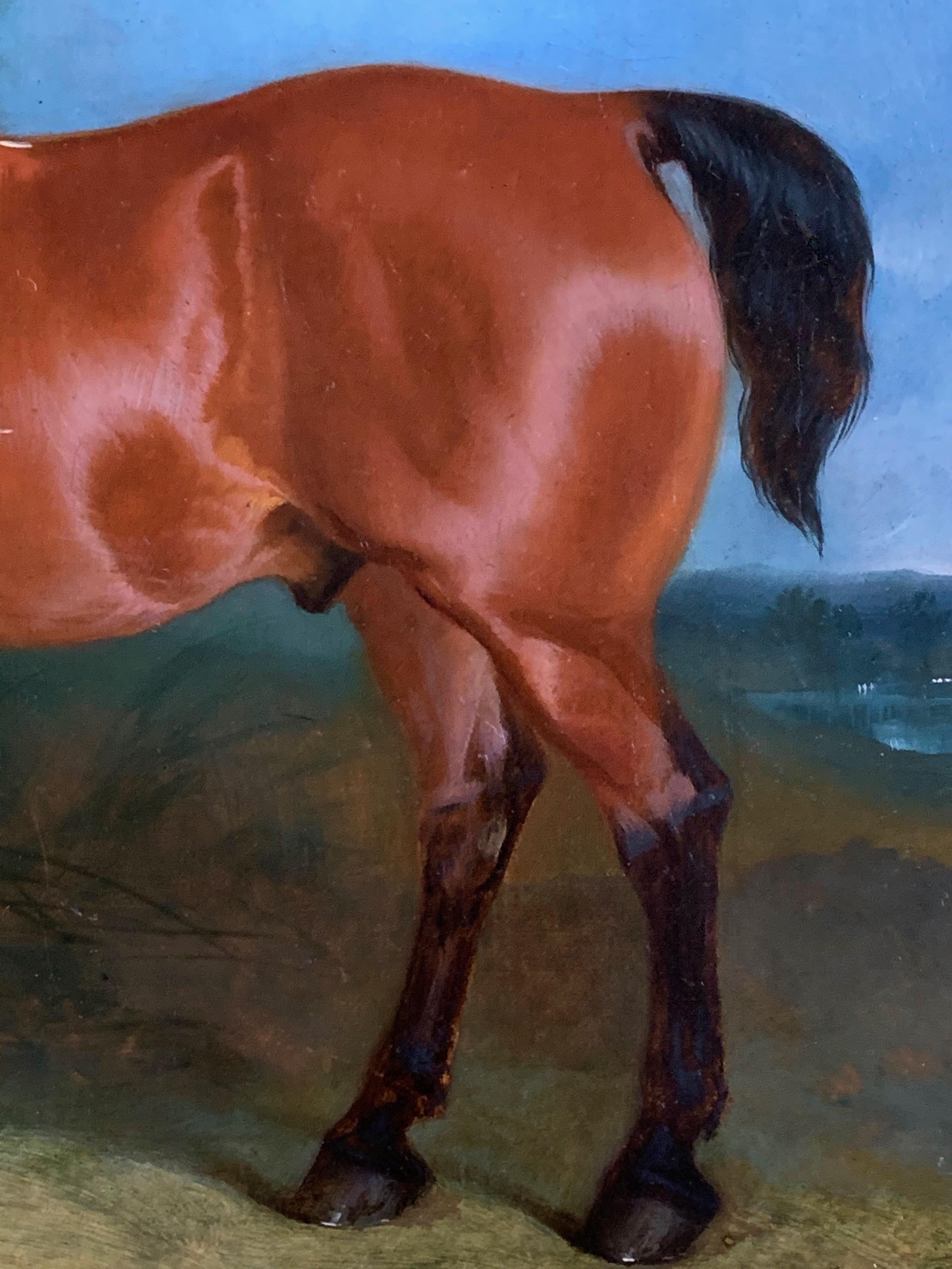 19th century oil on canvas a Bay Horse and a Terrier in an Landscape For Sale 1