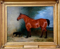 19th century oil on canvas a Bay Horse and a Terrier in an Landscape