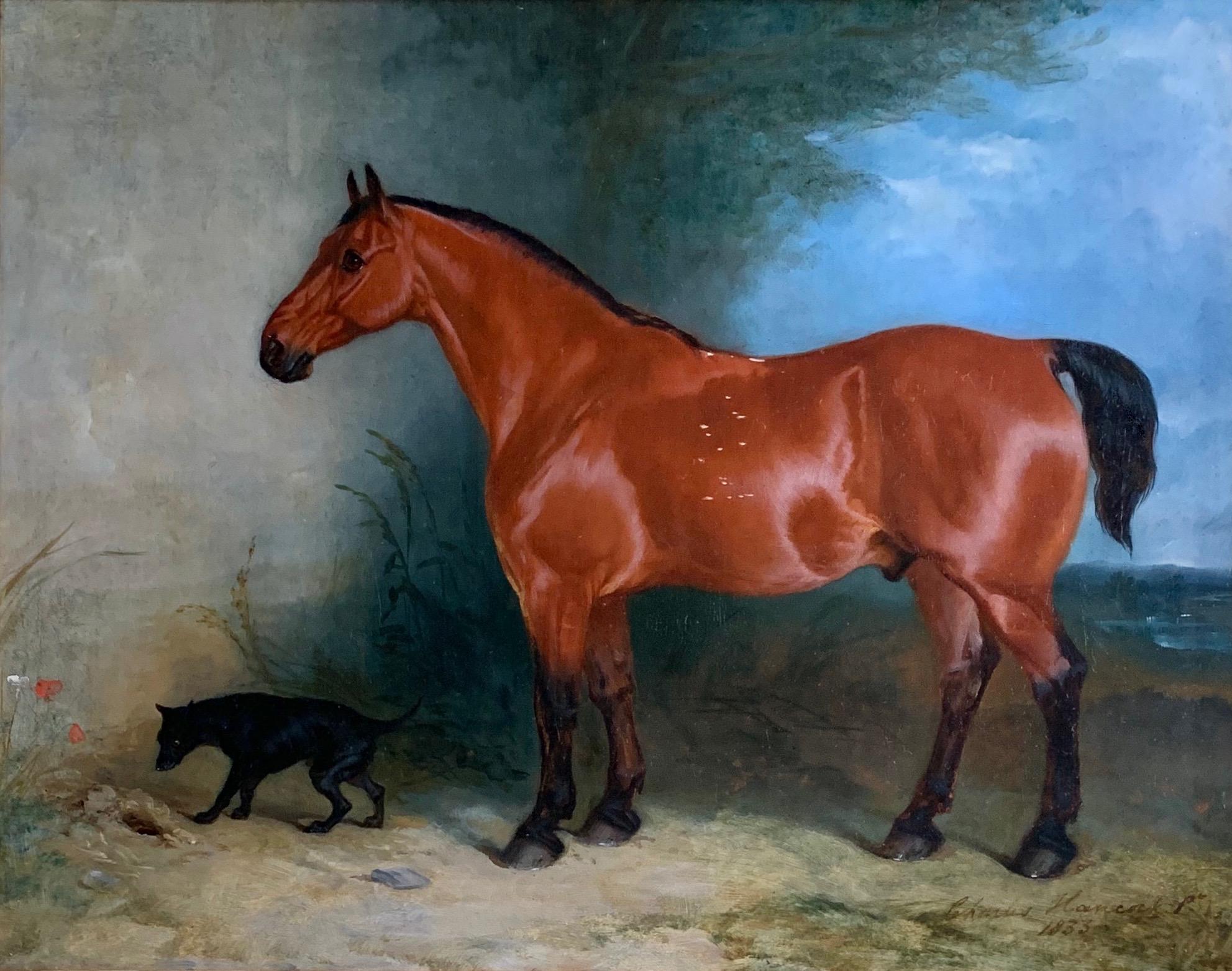 Charles hancock Animal Painting - 19th century oil on canvas a Bay Horse and a Terrier in an Landscape