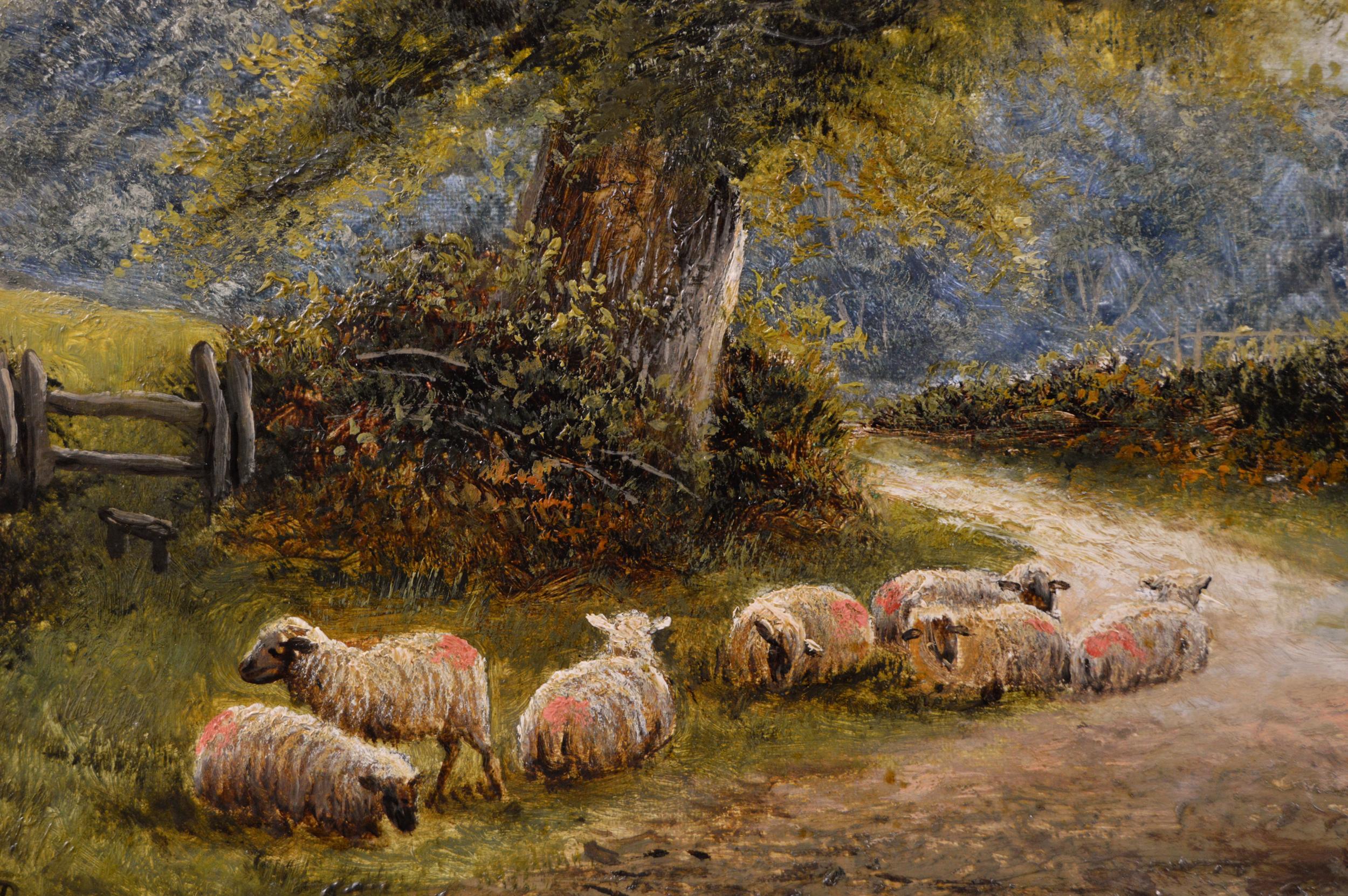 sheep oil paintings