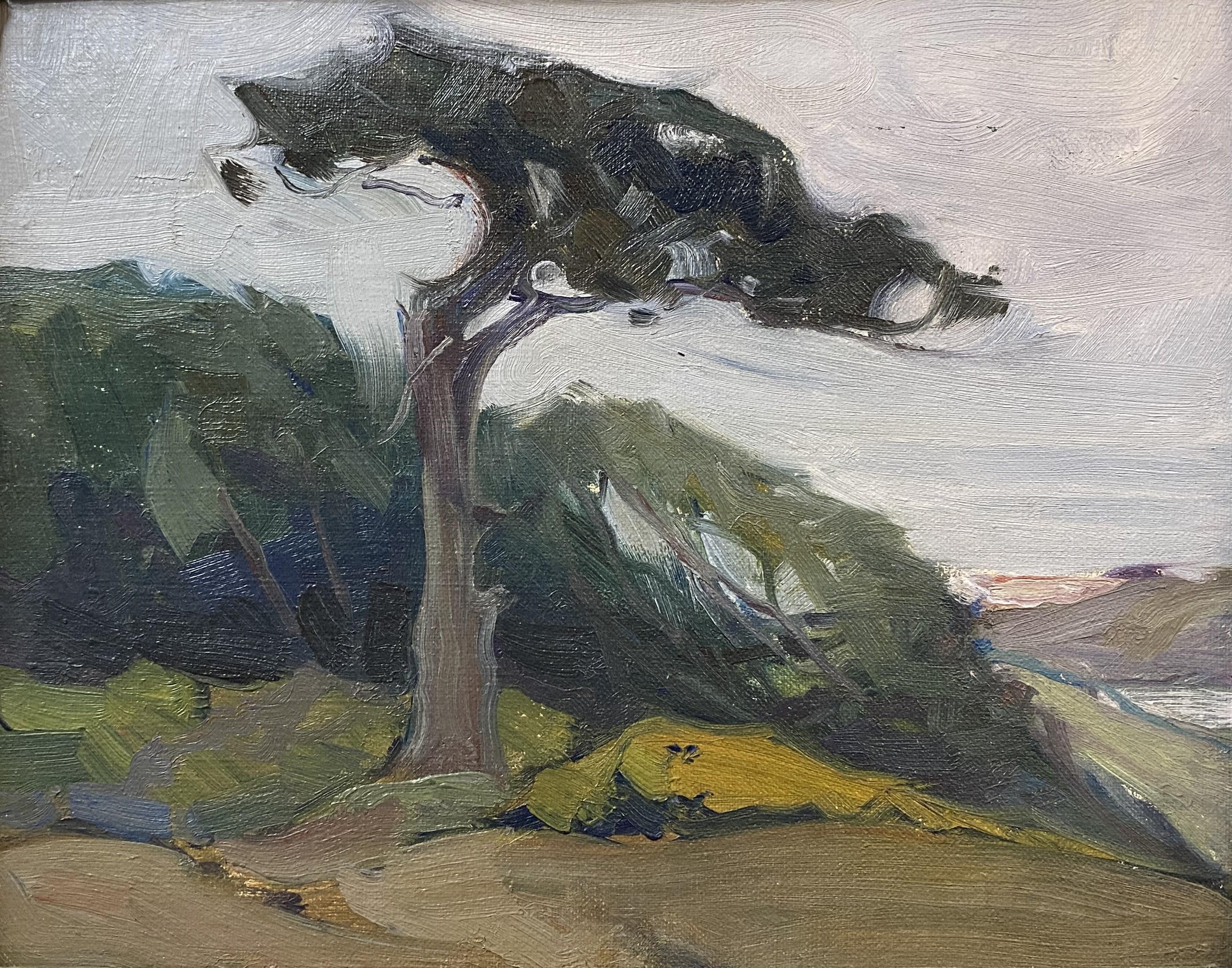 Naushon Sentinel Tree - American Impressionist Art by Charles Herbert Woodbury