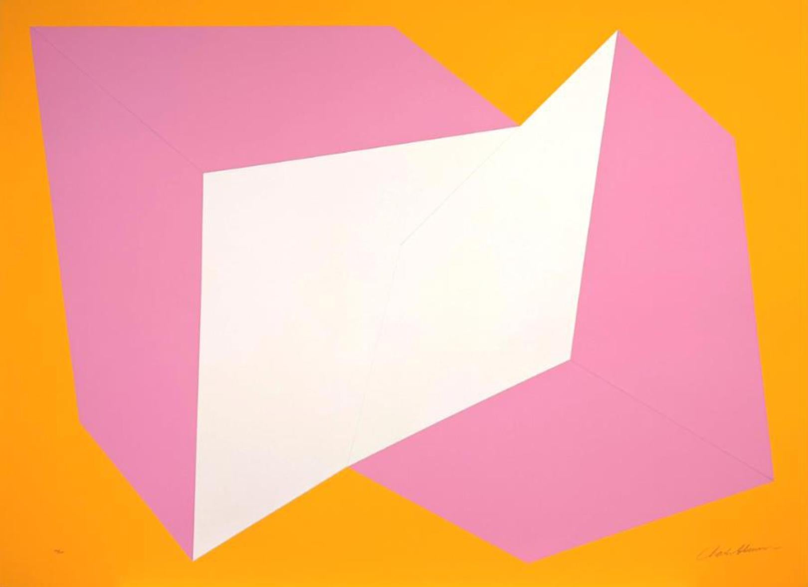 "This work was created with two separate entities that play against each other, in real and illusionary space, thus combining two separate realms that come together and play with one another.” -Charles Hinman

Pink on Orange
Charles Hinman, American