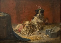 Deux chiens de compagnie