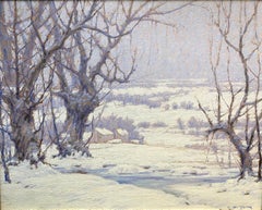 Winter Landscape