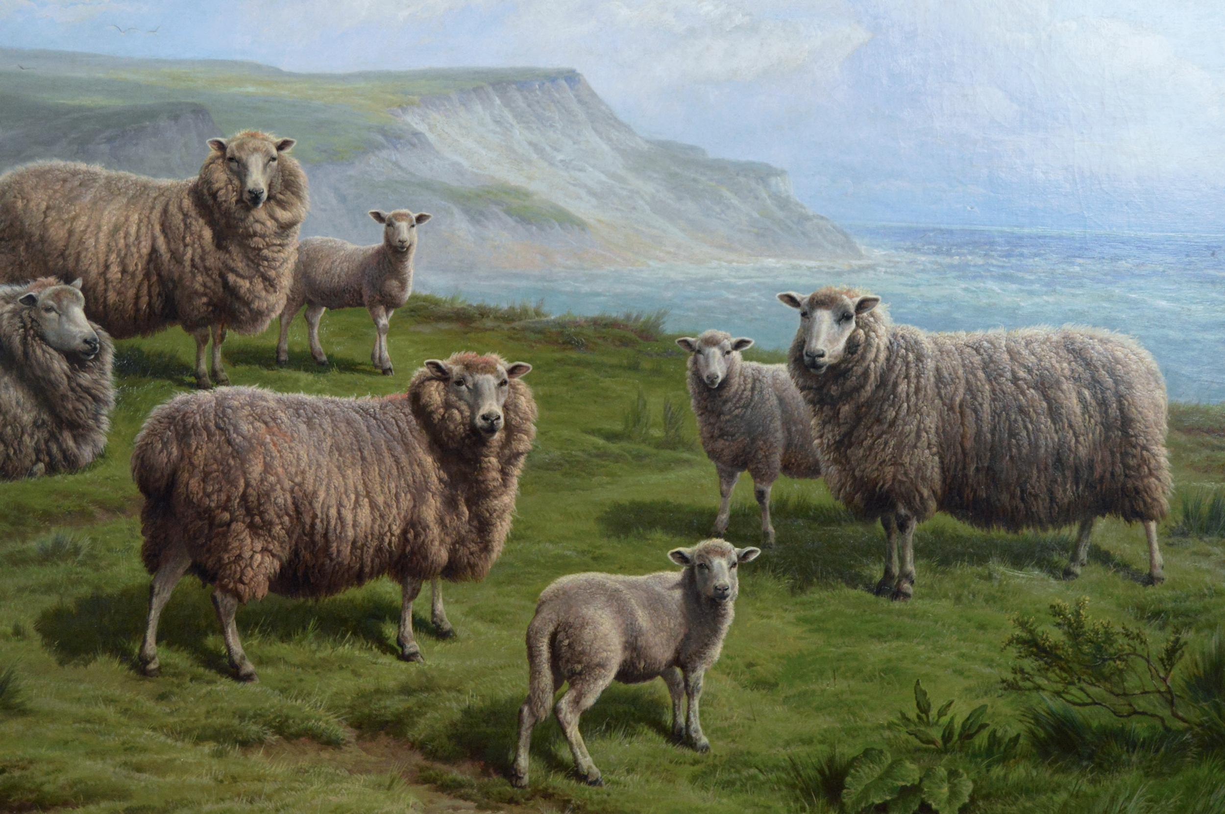 Peinture à l'huile de paysage du 19e siècle représentant des moutons sur une falaise - Victorien Painting par Charles Jones (b.1836)