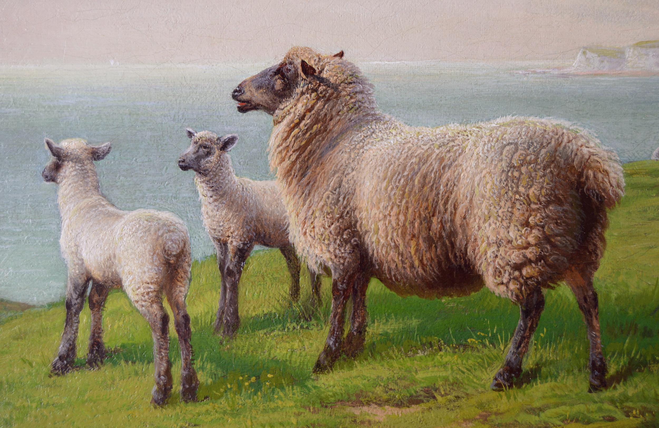 oil paintings of sheep