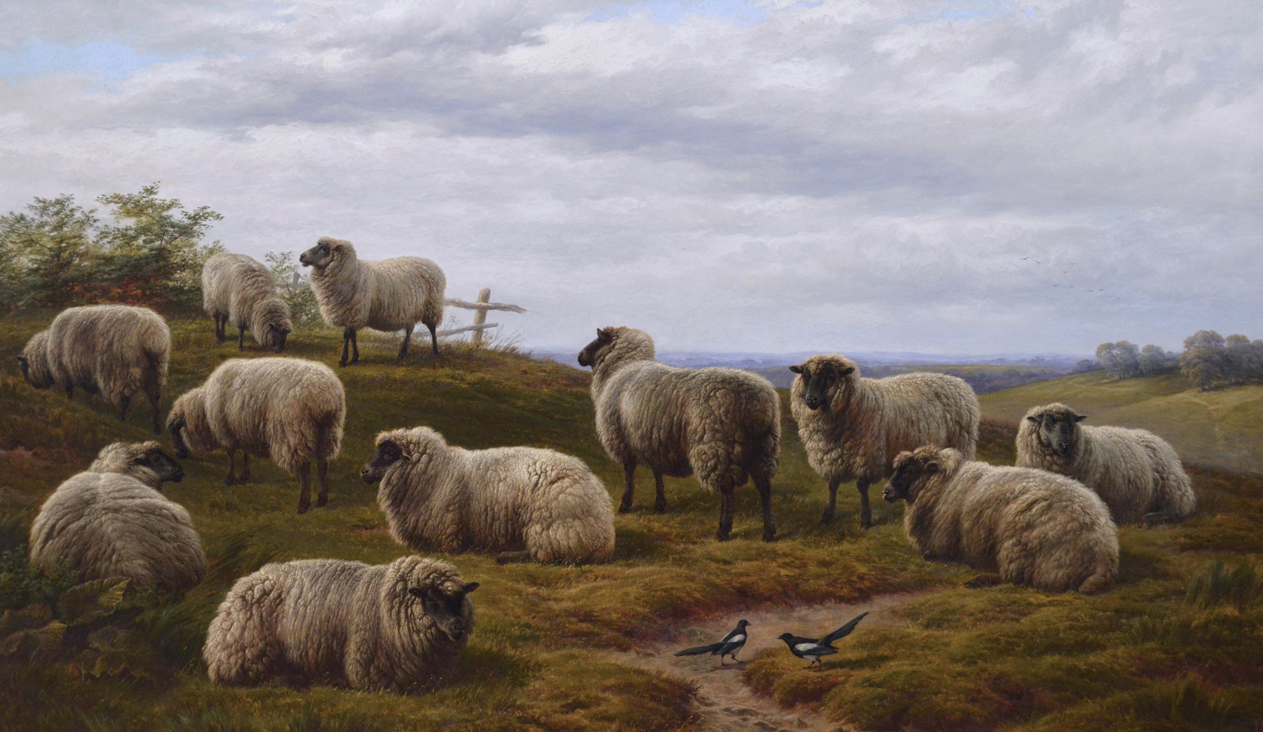 19th Century landscape oil painting of Sheep with Magpies  - Painting by Charles Jones (b.1836)
