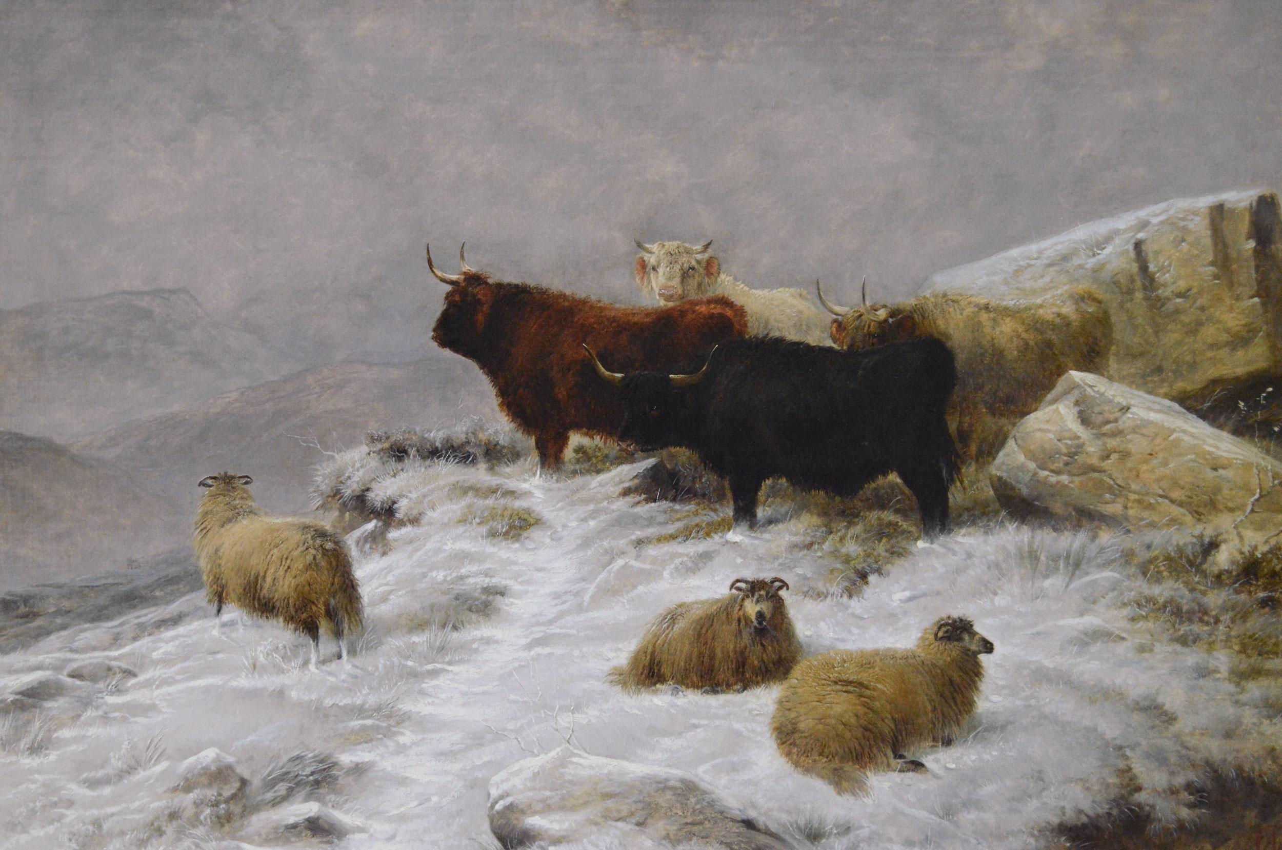 19th Century winter landscape oil painting of Highland cattle & sheep - Painting by Charles Jones (b.1836)