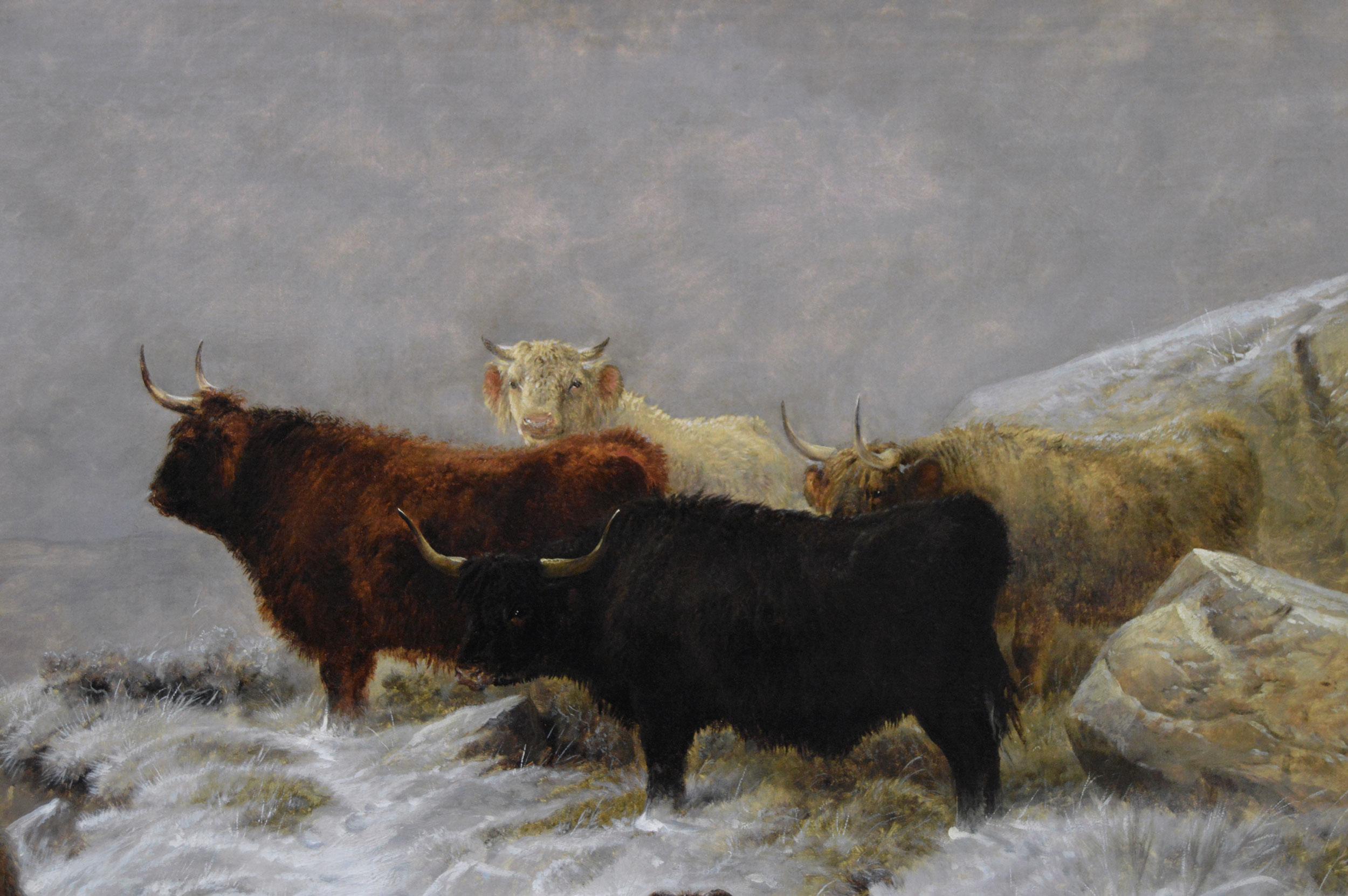 19th Century winter landscape oil painting of Highland cattle & sheep - Victorian Painting by Charles Jones (b.1836)