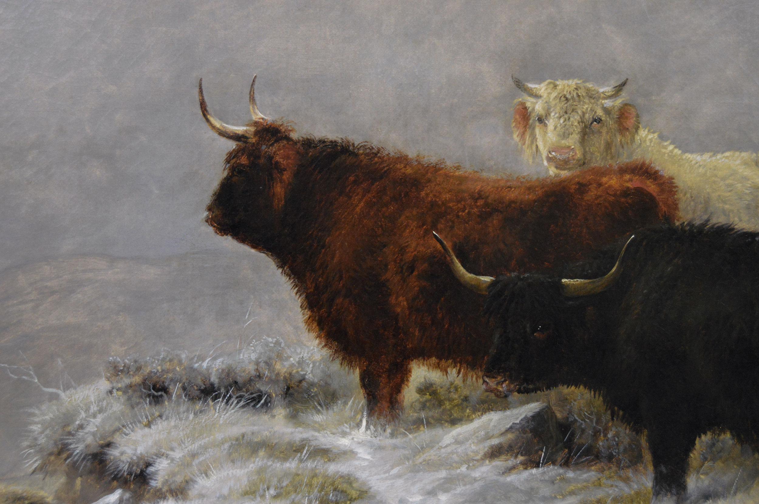 19th Century winter landscape oil painting of Highland cattle & sheep - Brown Landscape Painting by Charles Jones (b.1836)