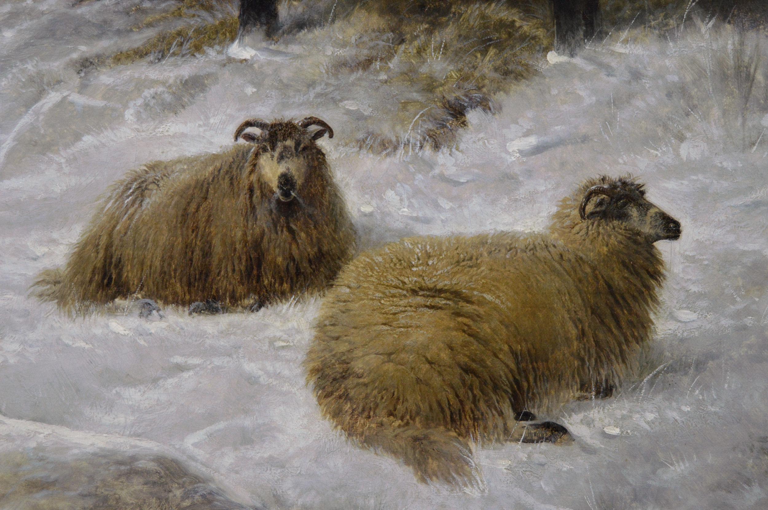 19th Century winter landscape oil painting of Highland cattle & sheep For Sale 1