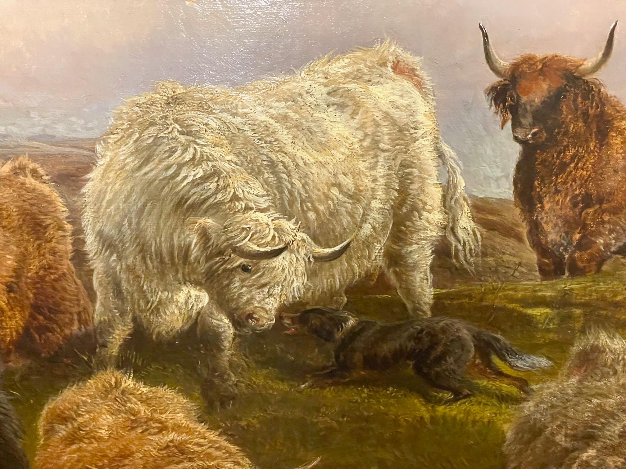 Highland Cattle - Naturalistic Painting by Charles Jones (b.1836)
