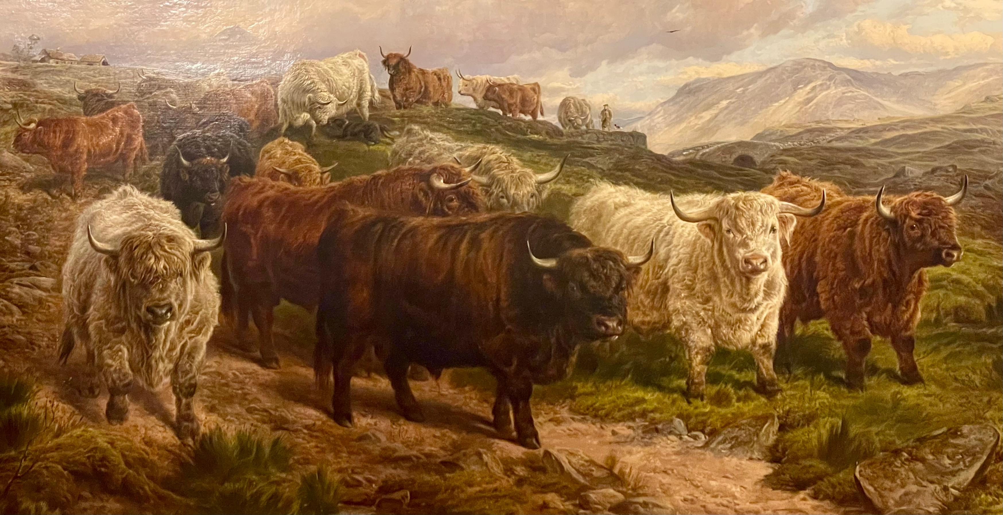 Charles Jones (b.1836) Animal Painting - Highland Carttle