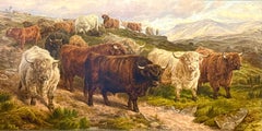 Ganado de las Tierras Altas