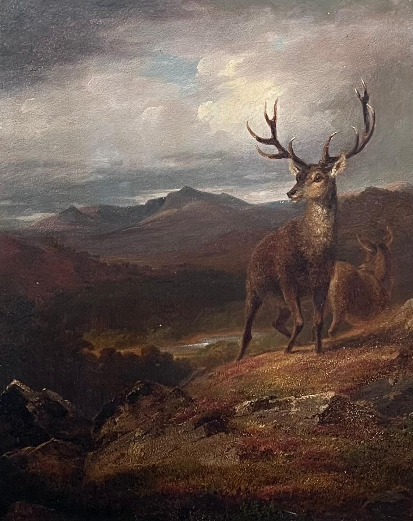Fine Mid Victorian Scottish Oil Painting Stag & Deer in Highland Landscape - Brown Landscape Painting by Charles Landseer RA