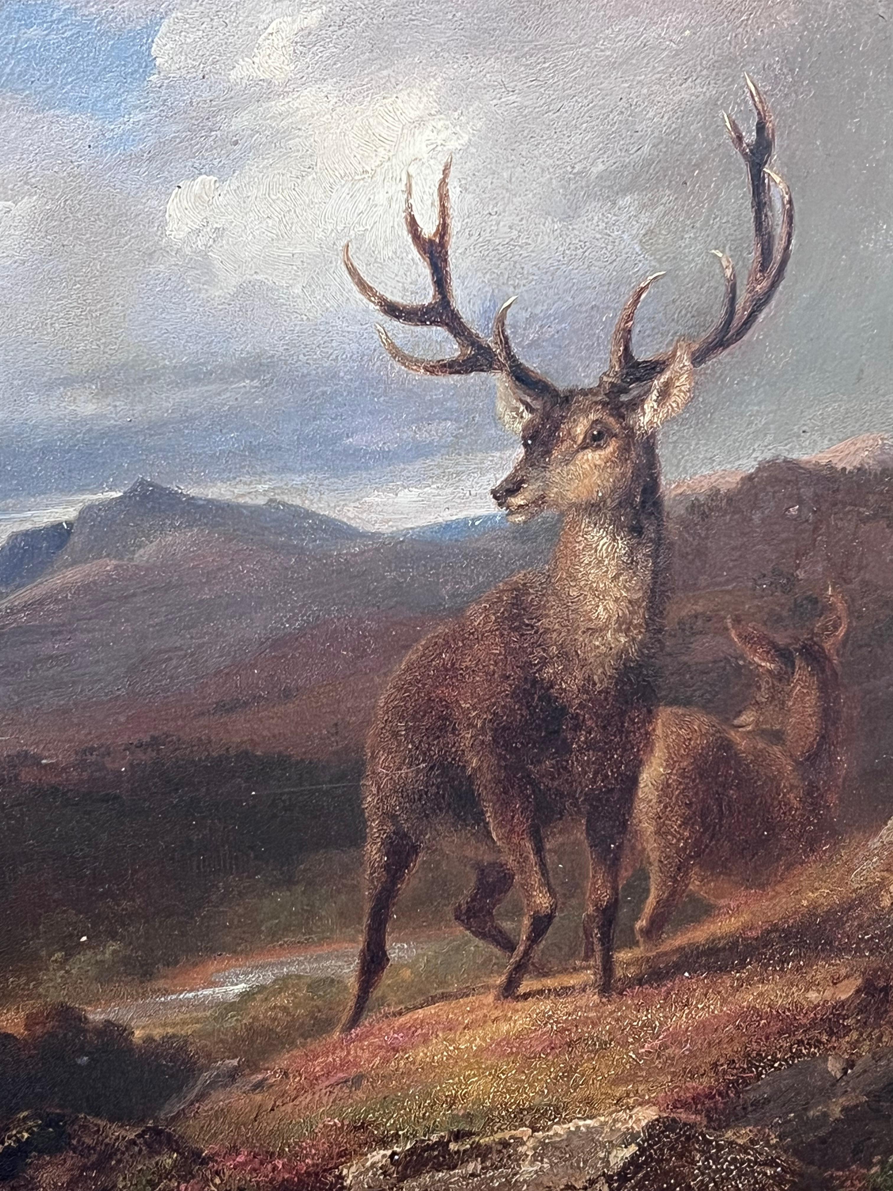 Fine Mid Victorian Scottish Oil Painting Stag & Deer in Highland Landscape 2