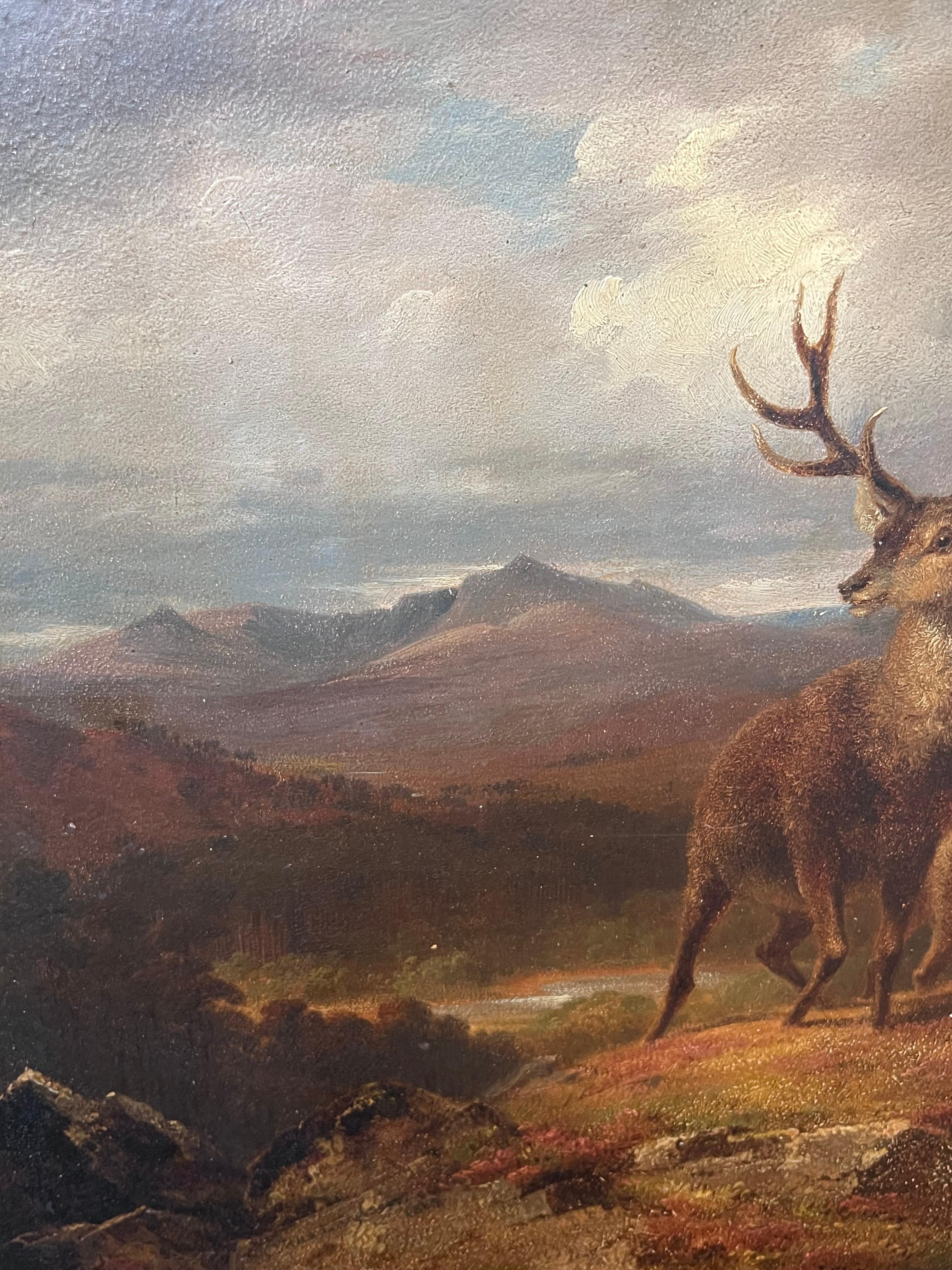 Fine Mid Victorian Scottish Oil Painting Stag & Deer in Highland Landscape 4