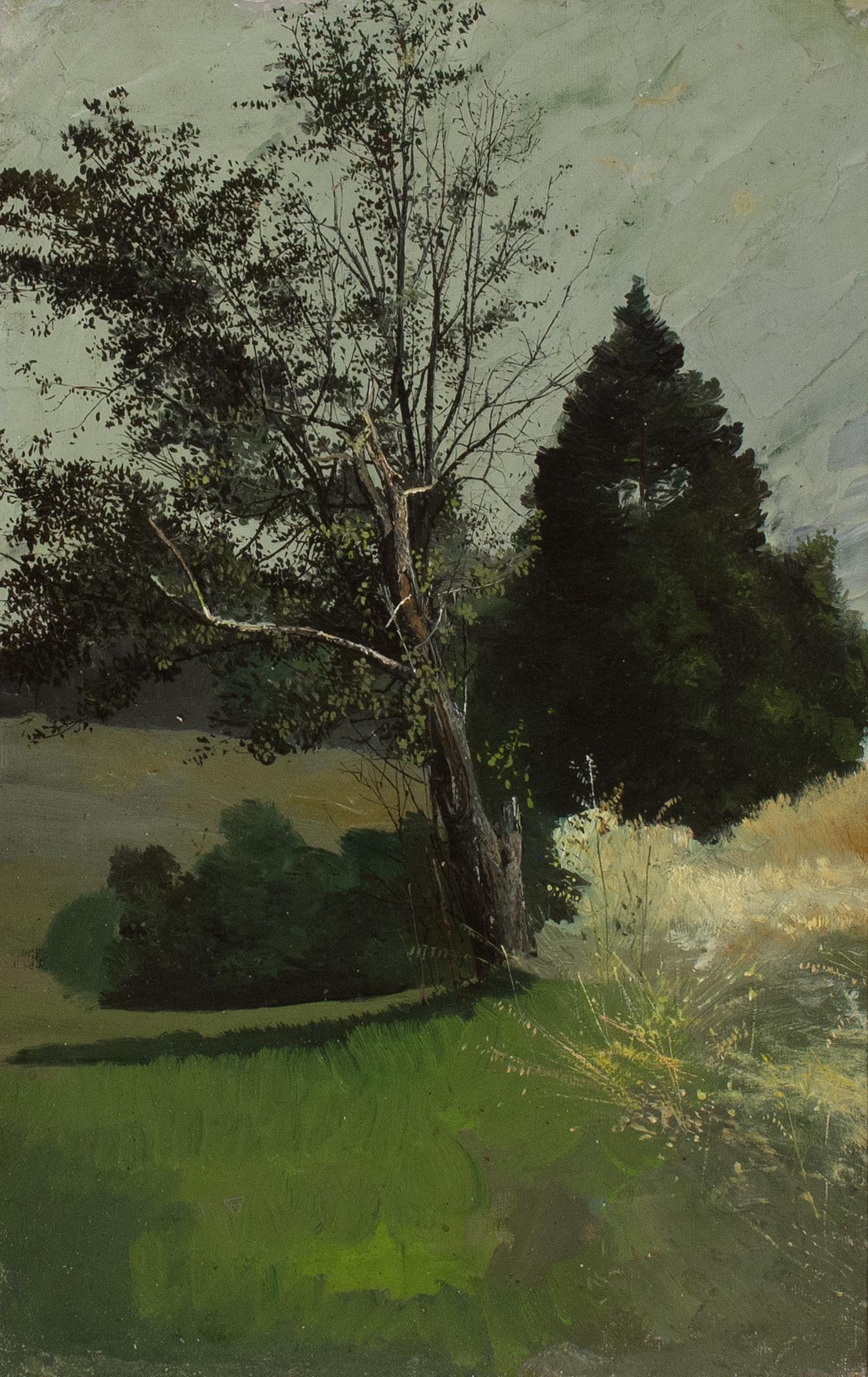 Trees in a Meadow par Media, l'artiste de Pennsylvanie Charles Lewis Fussell en vente 2
