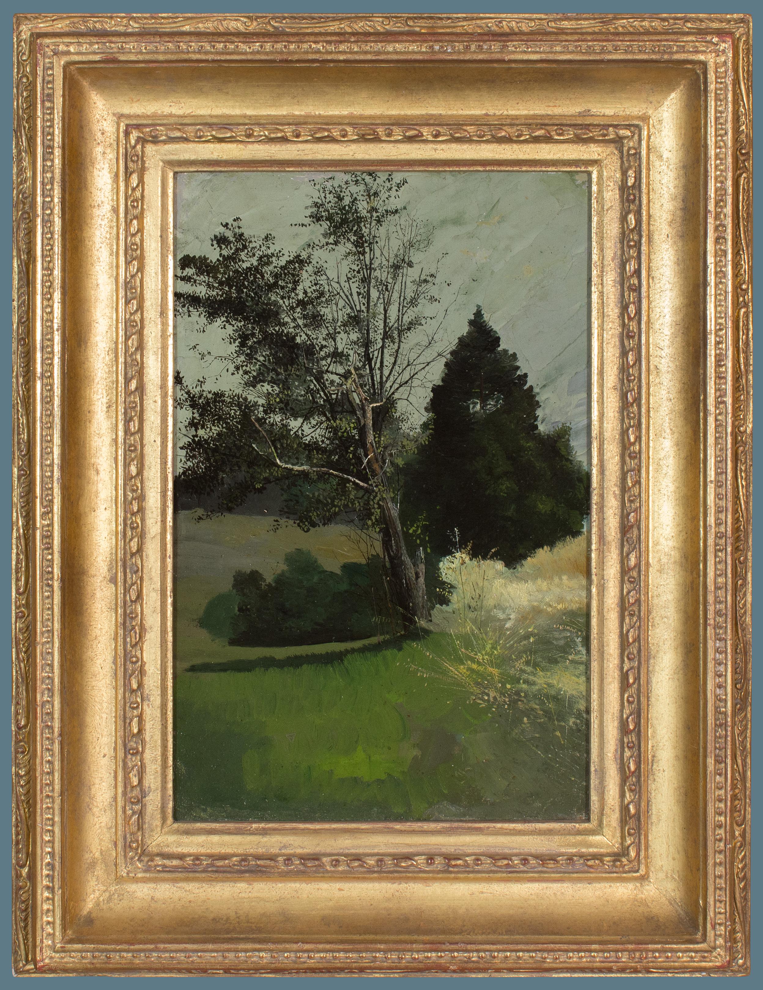 Trees in a Meadow des Medienkünstlers Charles Lewis Fussell aus Pennsylvania, Pennsylvania
