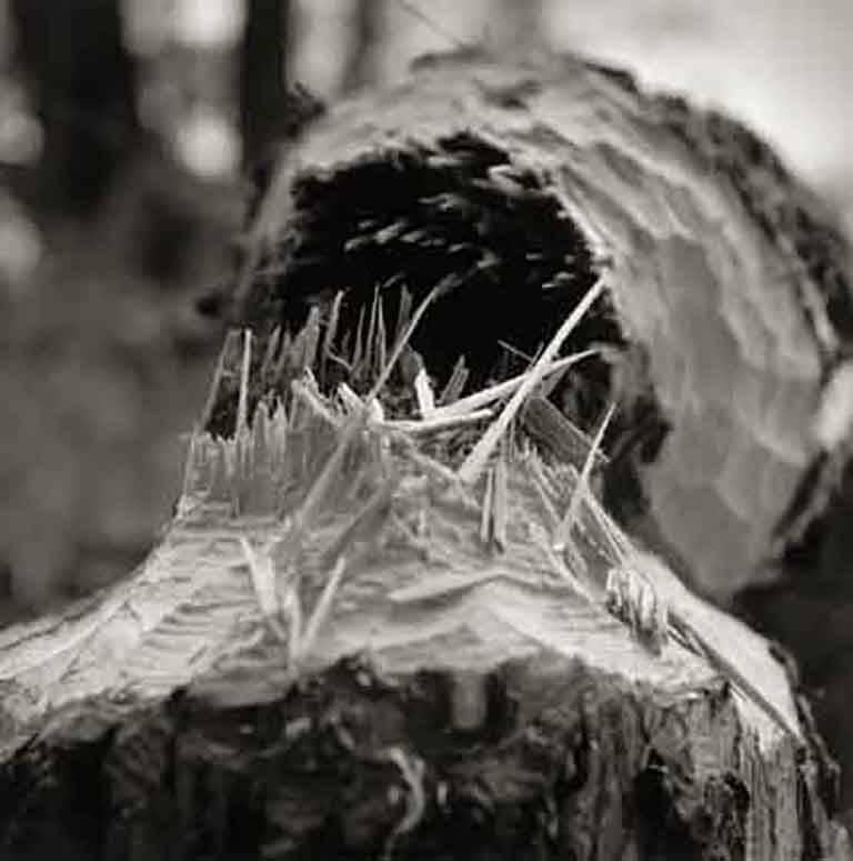 Beaver Fall, Ed. 1/15 - Photograph by Charles Lindsay