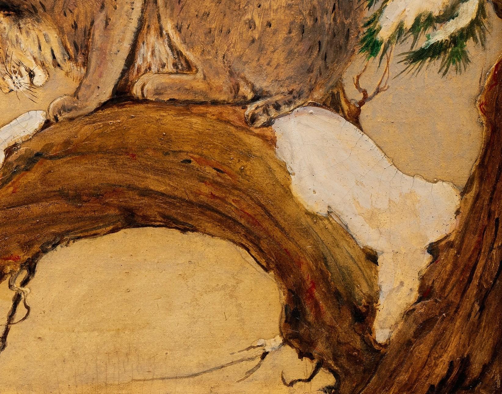Peinture d'un lynx dans un arbre Charles Livingston Bull (américain, 1874-1932) en vente 8