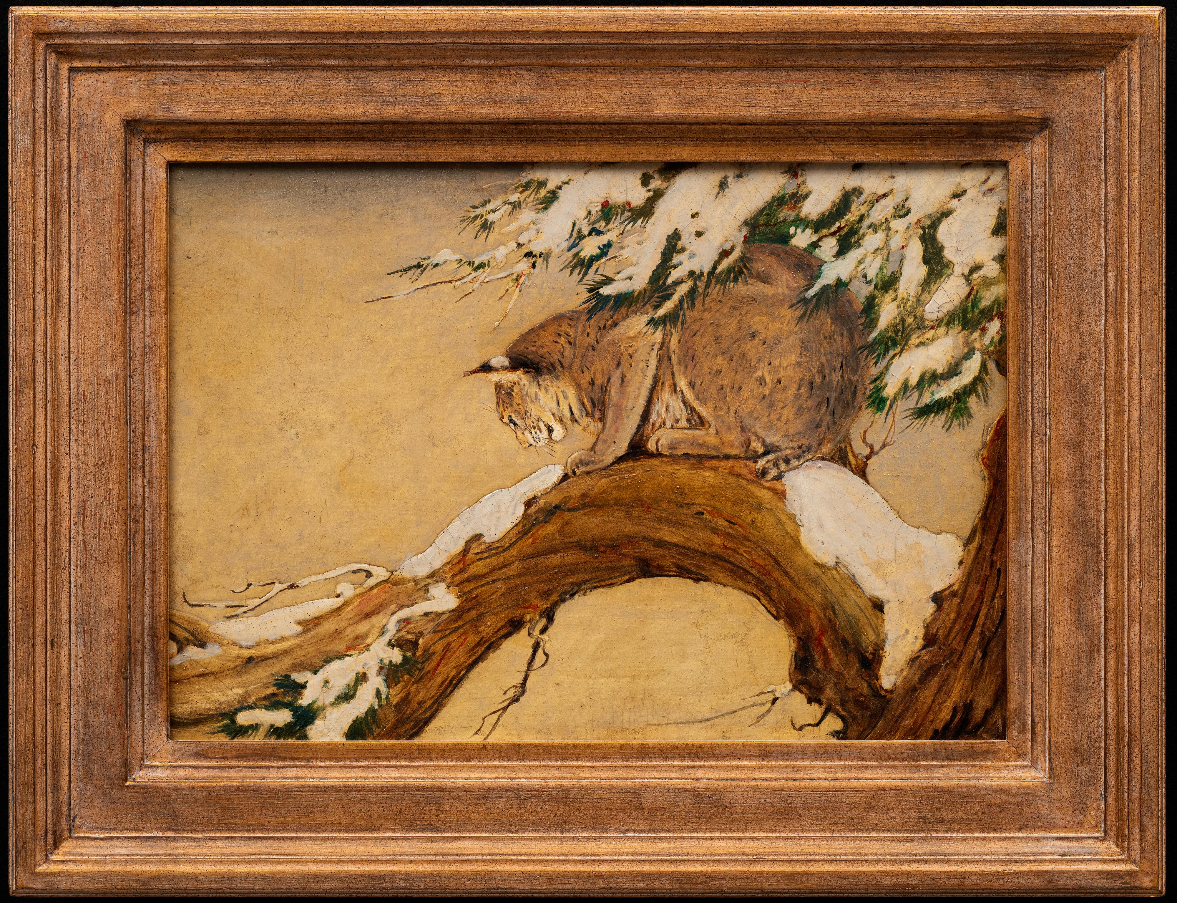 Peinture d'un lynx dans un arbre Charles 
Livingston Bull (Américain, 1874-1932)
Huile sur toile
Signé au dos
13 1/2 x 19 1/2 ( 20 3/4 x26 3/4 cadre) pouces

Charles Livingston Bull (1874-1932) est considéré comme "le premier artiste animalier de
