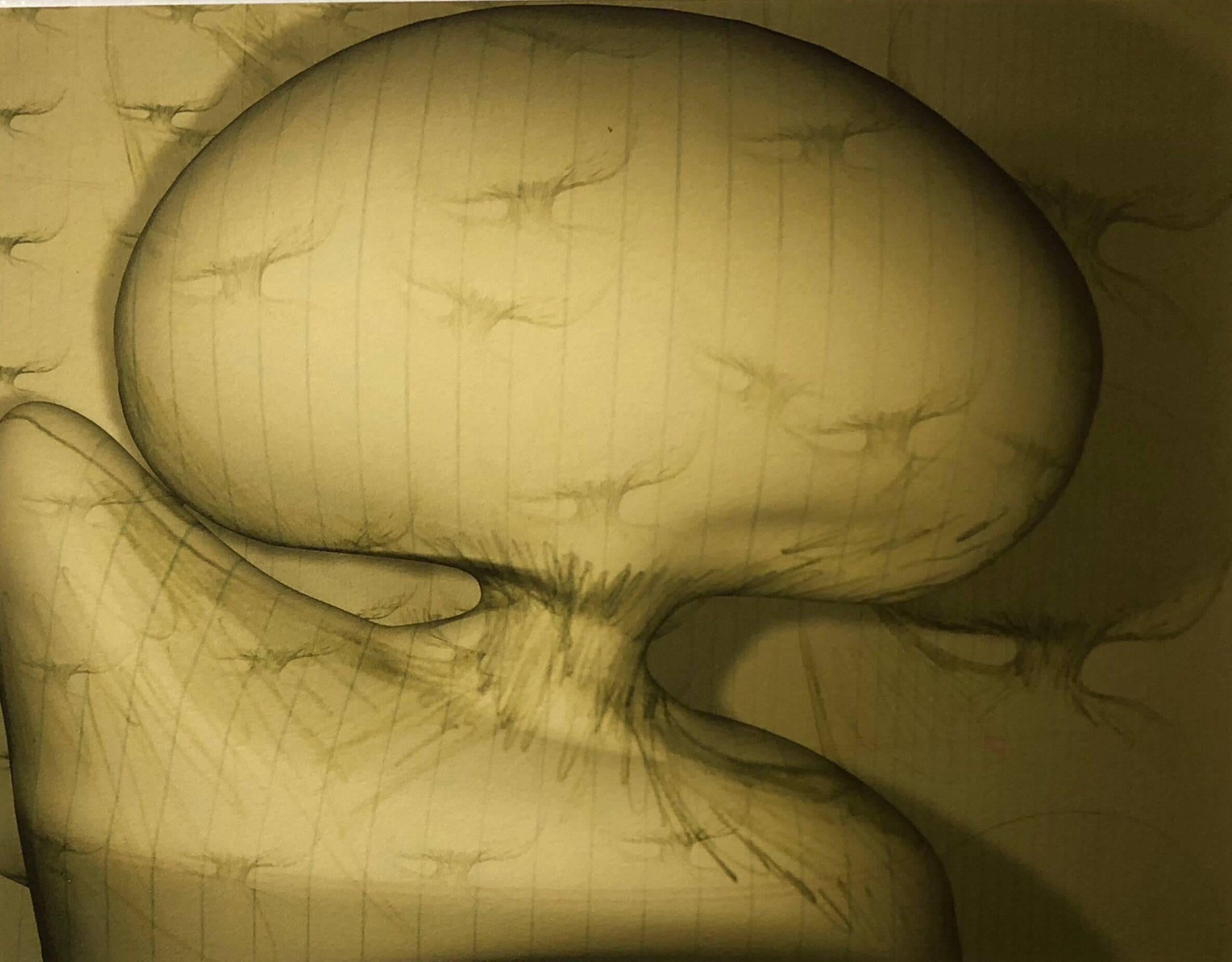 Charles Long Abstract Print - Digital Iris Print "Classic Anomalies" Pencil Signed with Initials edition of 15