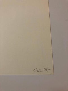Digital Iris Print "Spontaneous Restructuring" Pencil Signed w. Initials ed. 15