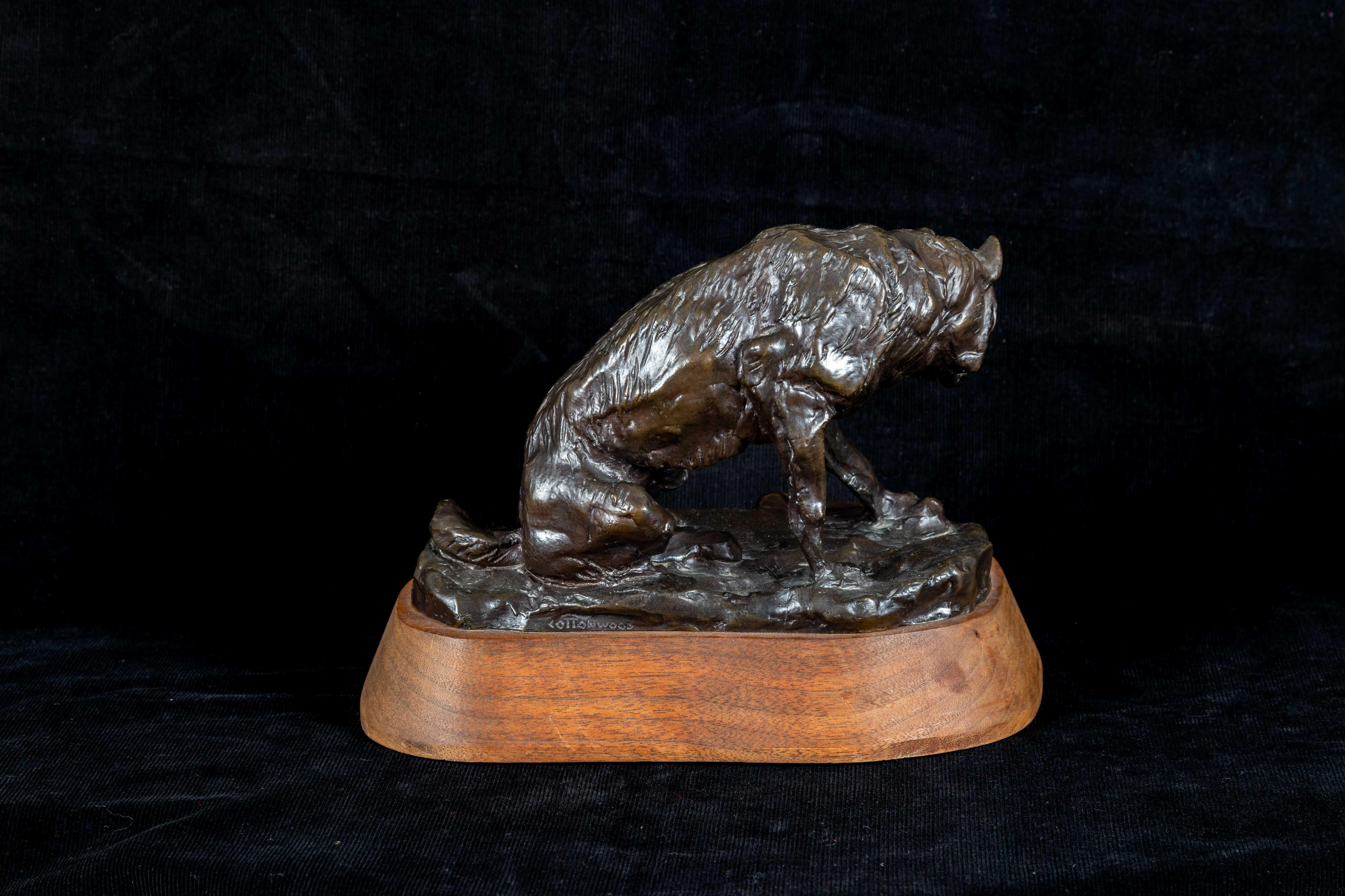 Wolf mit Knochen, Tierwelt Bronze auf Holzsockel, Western-Kunstskulptur – Sculpture von Charles Marion Russell