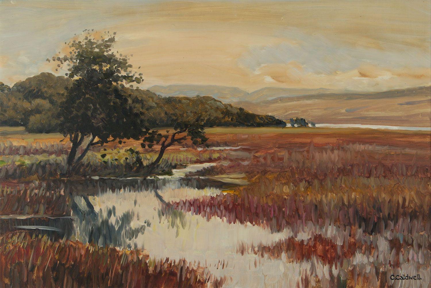 Charles McNeill Caldwell Abstract Painting - Post-Impressionist Oil Painting of Donegal Wetlands Landscape in Ireland 