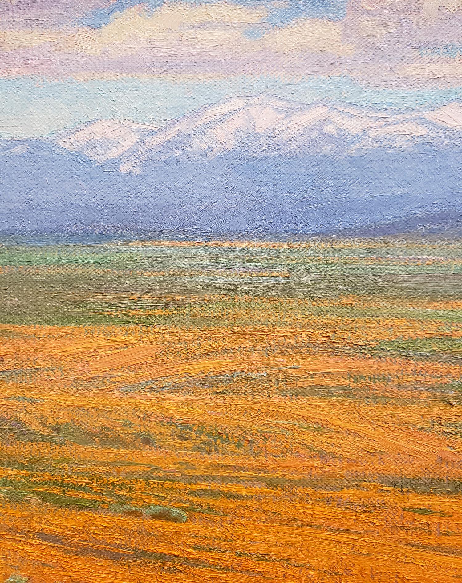 California Superbloom - Impressionist Painting by Charles Muench