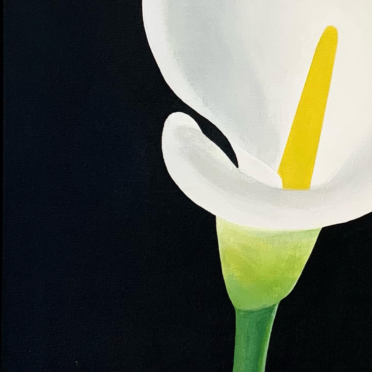 calla lily original members