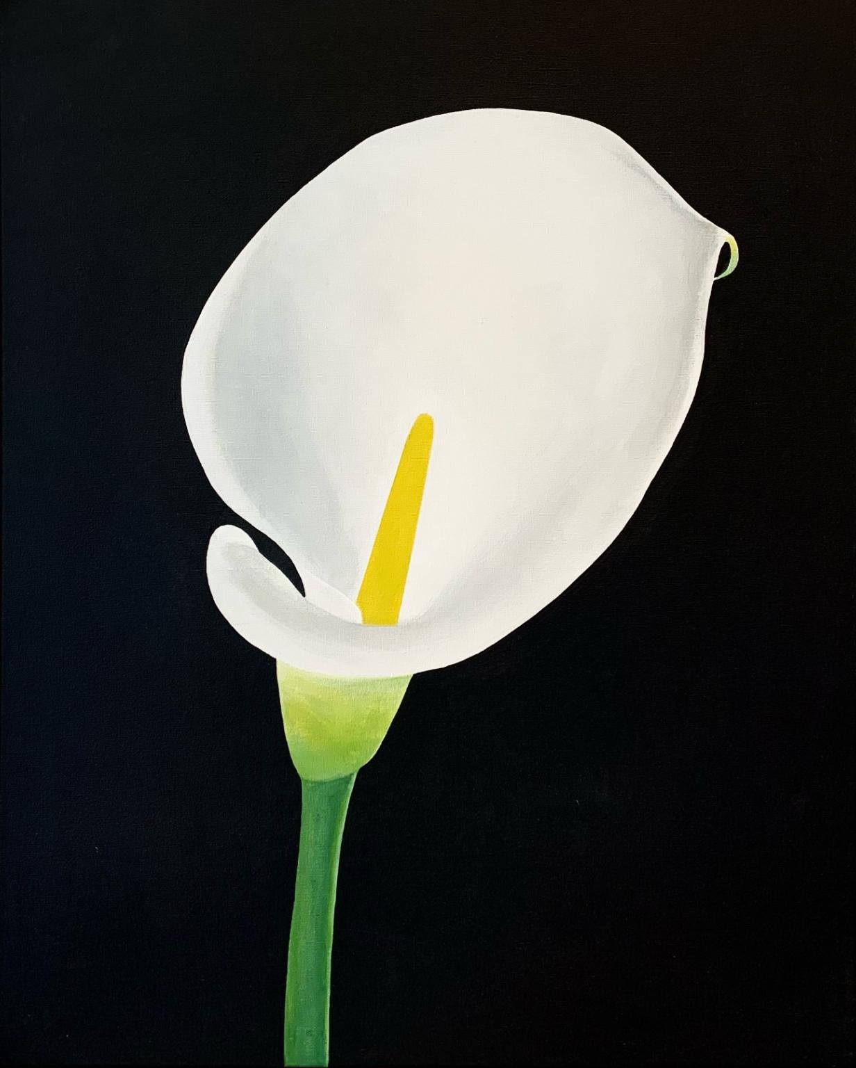Calla Lily - Contemporary Painting by Charles Pachter
