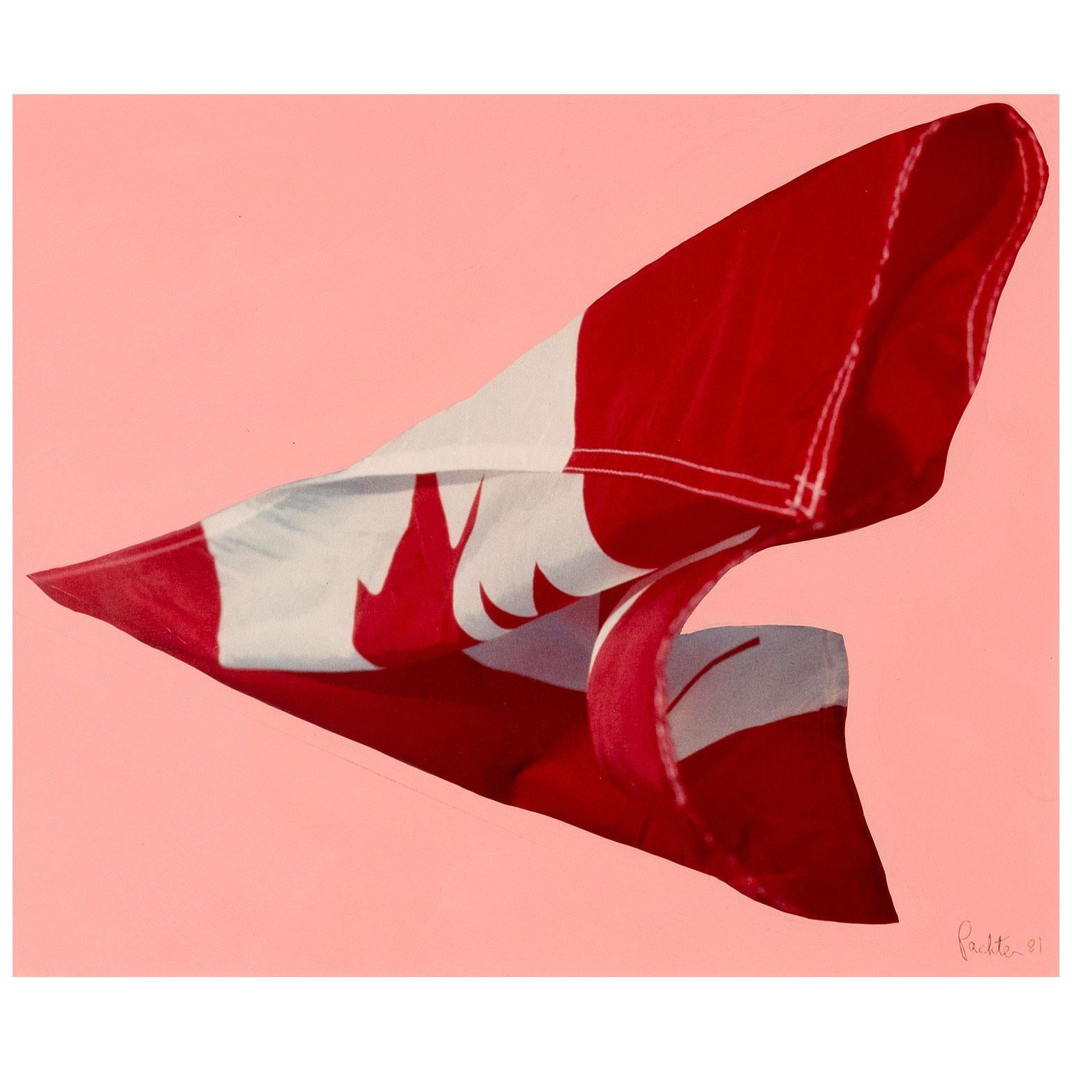 Pink Preparatory Flag - Contemporary Painting by Charles Pachter