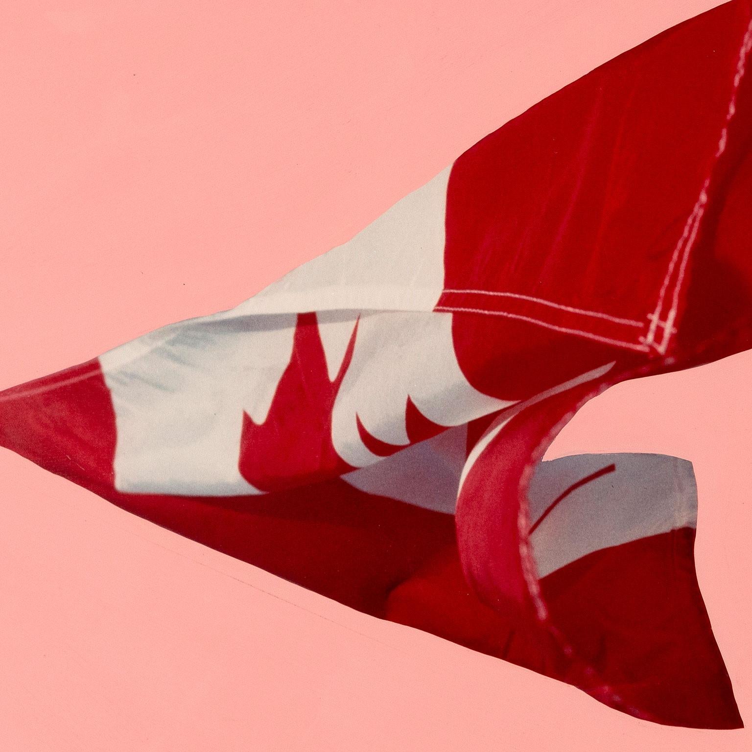 In the Spring of 1981, Charles Pachter began working on his most iconic and celebrated series: the Painter Flag.

Decades before Photoshop, Pachter went around Toronto taking photos of Canadian flags in the wind.

Before he finalized the