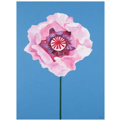 Poppy
