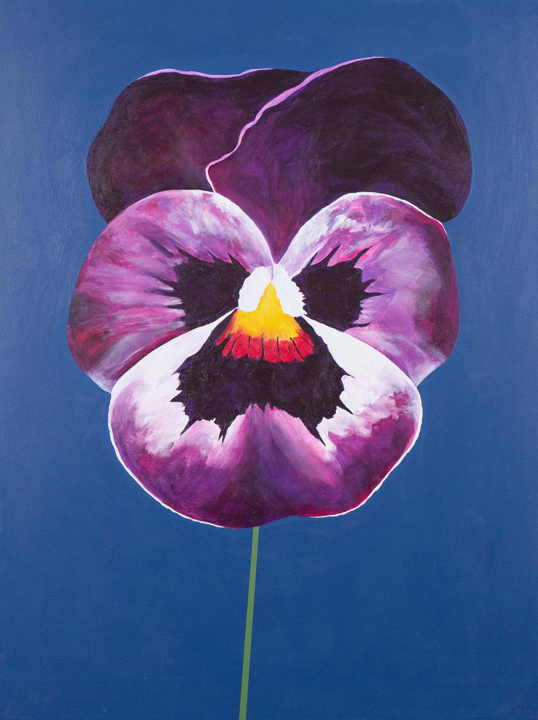 Viola mammola in vendita 5